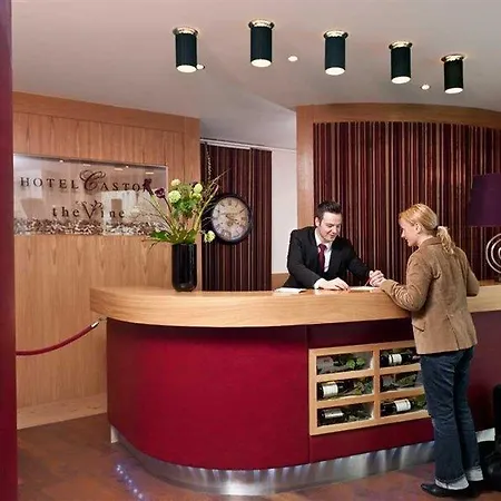 Castor The Vine Hotel 4*